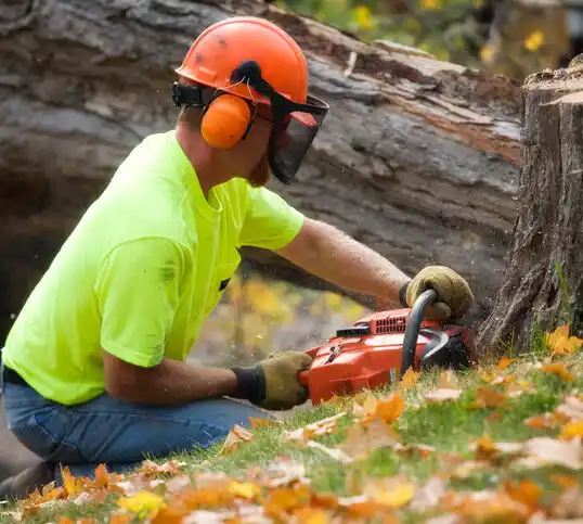 tree services Pollock